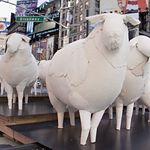 Counting Sheep sculptures by Kyu Seok Oh